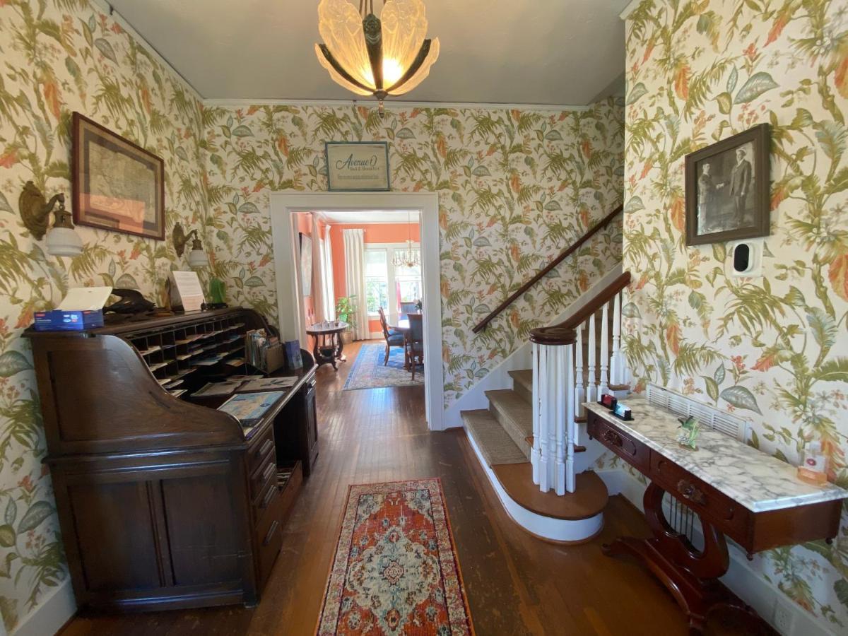 غالفيستون، تكساس Avenue O Bed And Breakfast المظهر الخارجي الصورة