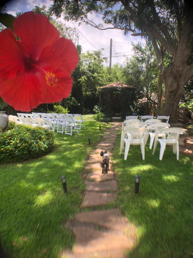 غالفيستون، تكساس Avenue O Bed And Breakfast المظهر الخارجي الصورة